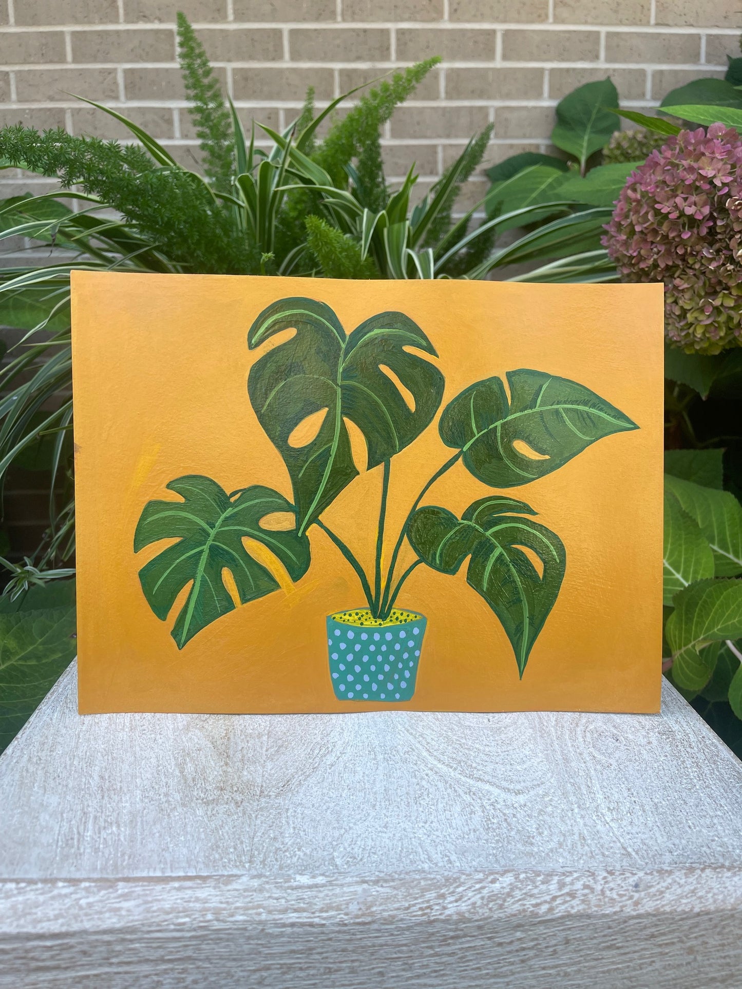 Monstera on Mustard